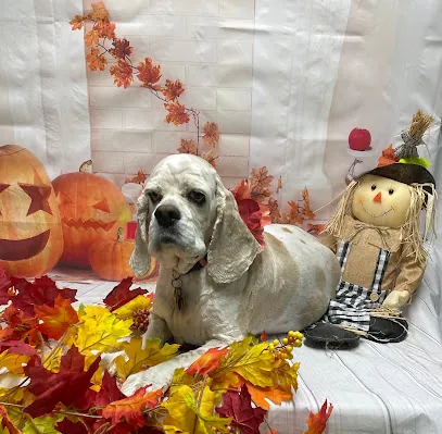 Shampoodles Dog Spa and Mobile Dog Spa — photo from their website