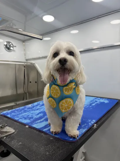 Brush’d Pets Mobile Grooming — photo from their website
