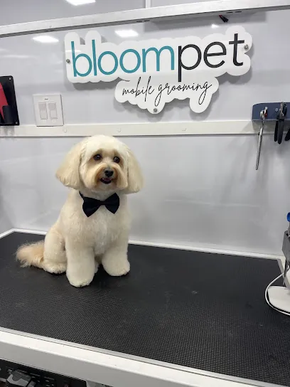 Bloompet Mobile Grooming — photo from their website
