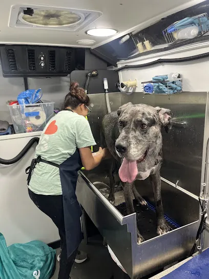 Groombuggy Mobile Dog Grooming — photo from their website