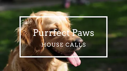Purrfect Paws House calls — photo from their website