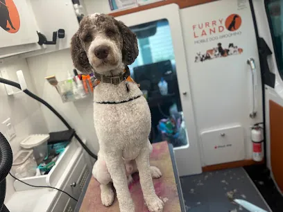 Furry Land Mobile Grooming of Augusta — photo from their website