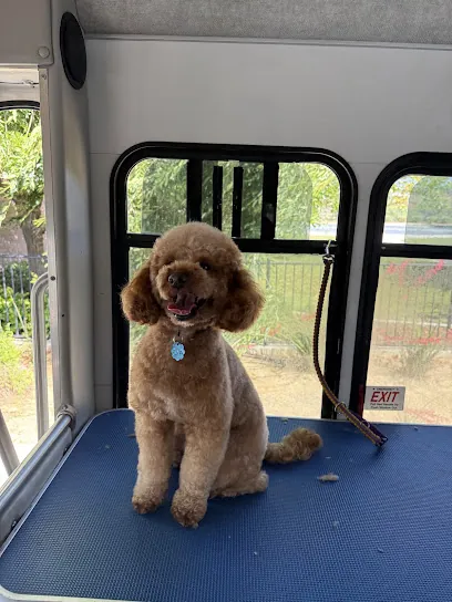 OMG Mobile Pet Spa & More — photo from their website