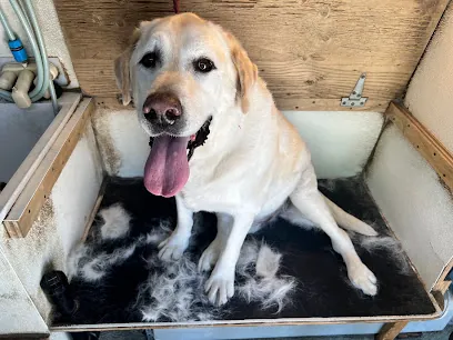 k9champ mobile grooming — photo from their website