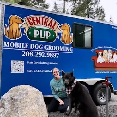 Central Pup Mobile Grooming — photo from their website