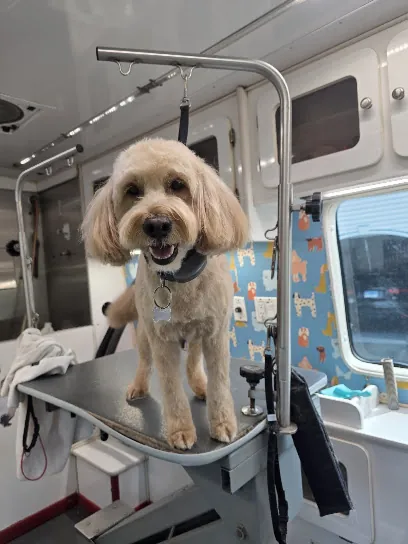 Dunk'n Dogs Mobile Grooming — photo from their website