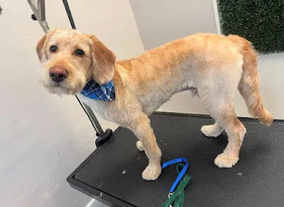 Nikki’s Mobile Dog Grooming — photo from their website