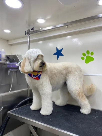 All Year Round Mobile Pet Groomers — photo from their website