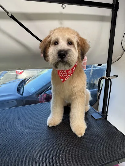 Long Barkland Grooming (Mobile) — photo from their website