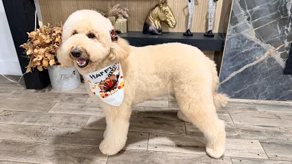 Miracle Mobile Grooming — photo from their website
