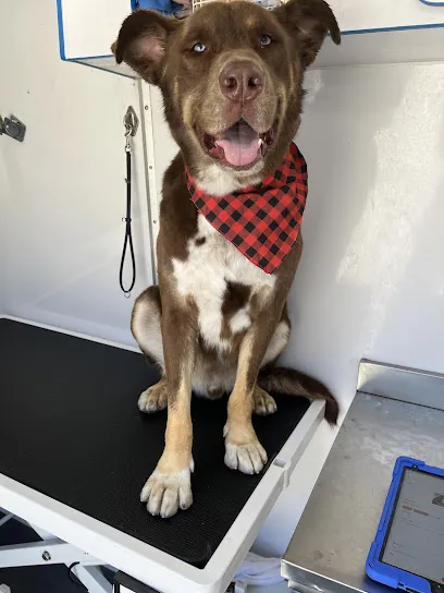 Galactic Guardians Mobile Grooming — photo from their website