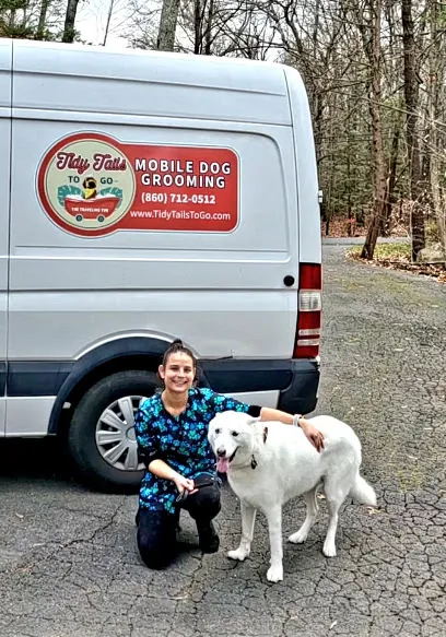 Tidy Tails To Go: Mobile Dog Grooming — photo from their website