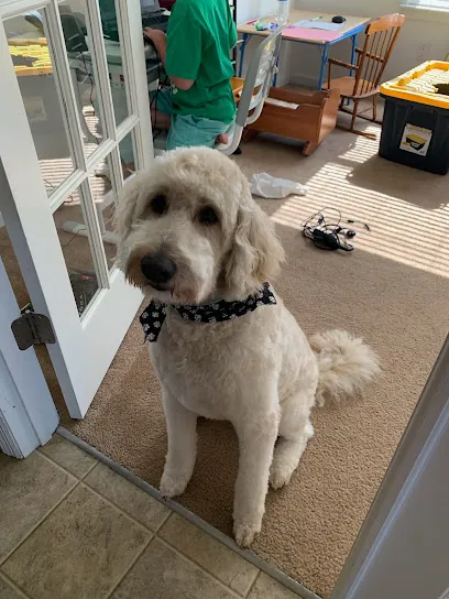 Show-N-Go House Call Grooming and drop off Grooming — photo from their website