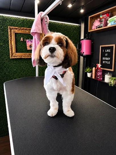 Wash & Wags Mobile Pet Spa — photo from their website