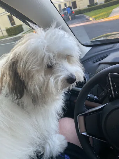 RUB-A-DUB-DOG (Mobile Grooming) — photo from their website