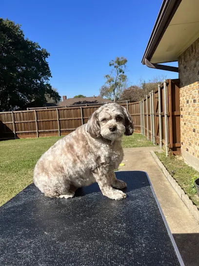 Pawsome Mobile Pet Spa — photo from their website