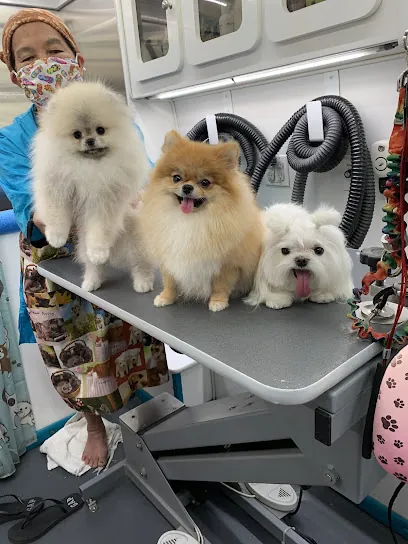 Smile Mobile Grooming — photo from their website