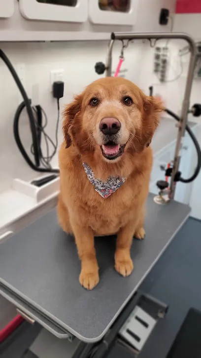 Chris and Kassie's Mobile Pet Grooming — photo from their website