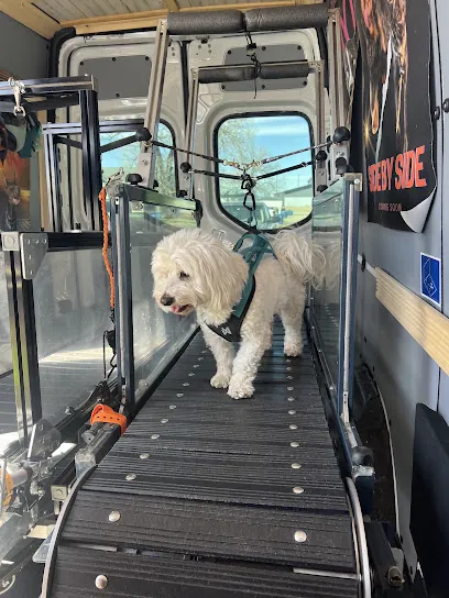 Ruff Riders Mobile Dog Gym — photo from their website