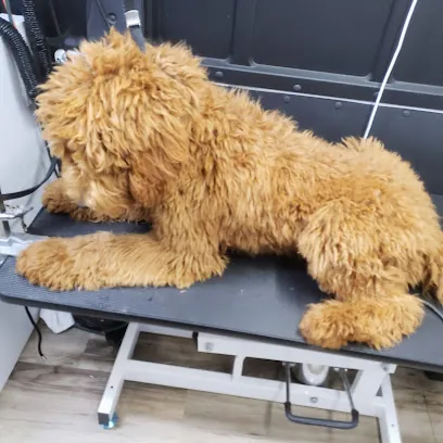 Rider's Mobile Place for Pets — photo from their website