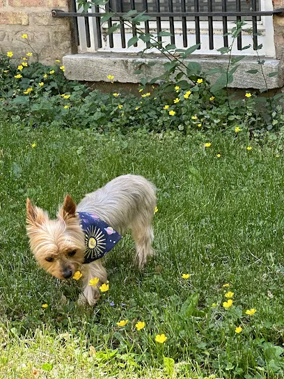 Galaxy's Mobile Pet Salon — photo from their website