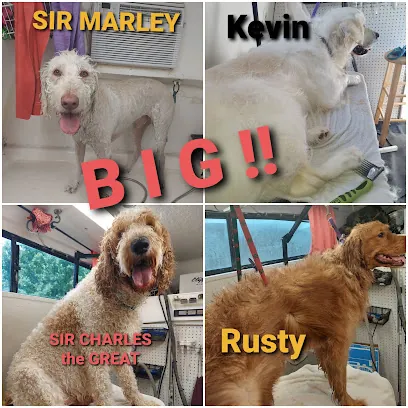 BOB WOW MOBILE DOG GROOMING — photo from their website