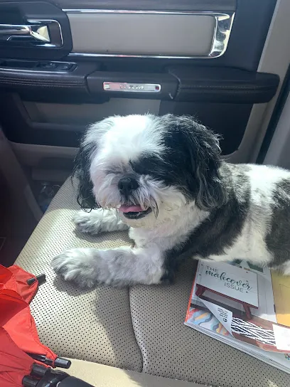 Krazy Kimz Mobile Grooming — photo from their website