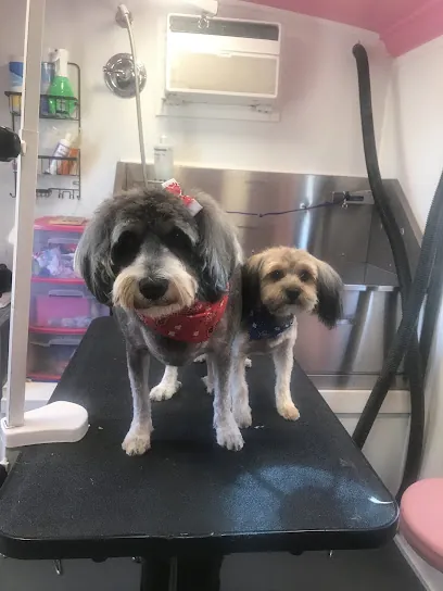 Shay's Mobile Pet Parlor — photo from their website