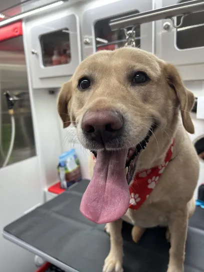 Red Collar Mobile Dog Grooming — photo from their website