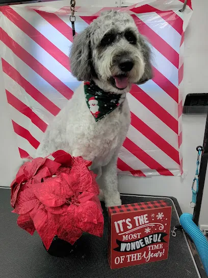 FurGlow Mobile Grooming Spaw — photo from their website