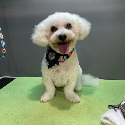 Dog Savvy Mobile Grooming Inc — photo from their website