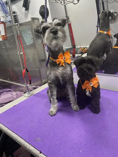 Fancy Pants Mobile Grooming — photo from their website