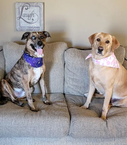Devon's Dapper Dogs Pet Grooming — photo from their website