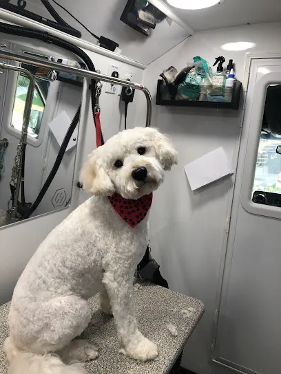 Bubbles Mobile Pet Grooming — photo from their website