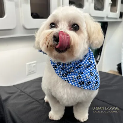Urban Doggie Mobile Dog Grooming — photo from their website