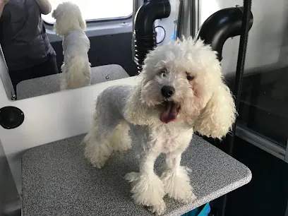 Rhode Island Mobile Grooming — photo from their website