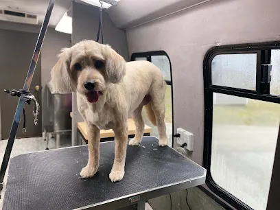Dapper Dogs Mobile Pet Grooming — photo from their website