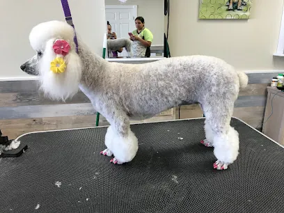 Friendswood Preppy Pets Salon and Mobile — photo from their website