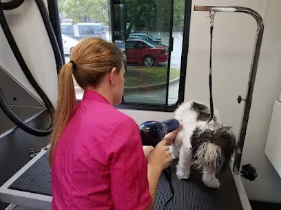 Sassy Paws Mobile Pet Grooming Salon — photo from their website