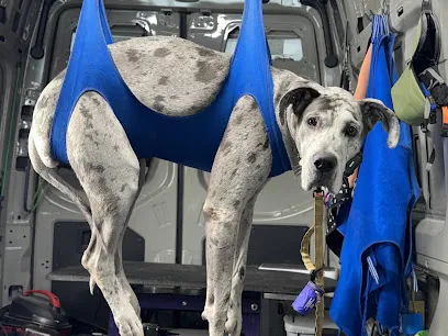 SpawtOn Mobile Pet Care Services — photo from their website