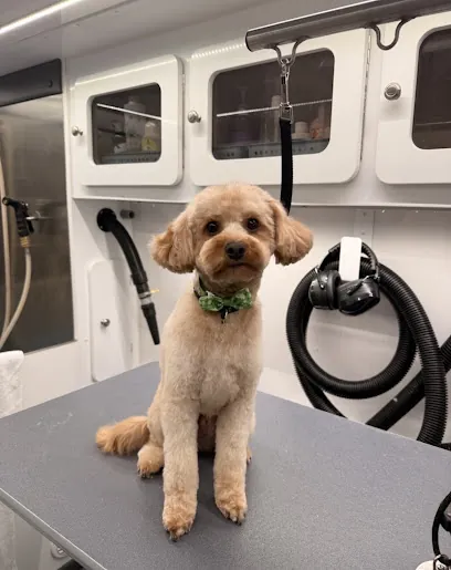 DapperTails Mobile Pet Grooming of Monmouth County — photo from their website