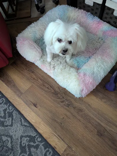 Hair Off The Dog Mobile Grooming, LLC. — photo from their website