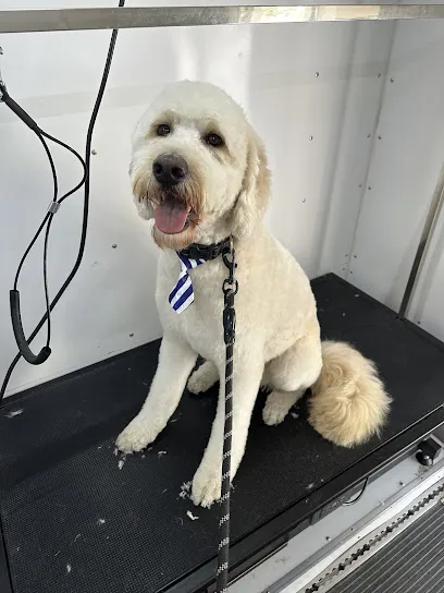 PetsWell Mobile Grooming — photo from their website