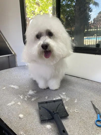 The Dogfather Mobile Grooming — photo from their website