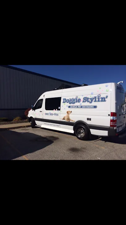 Doggie Stylin' Mobile Pet — photo from their website