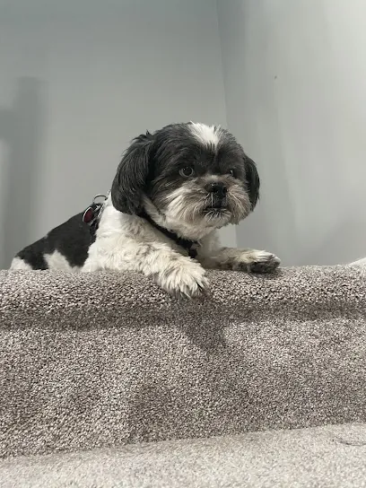 Paw Spa’s Mobile Pet Grooming — photo from their website