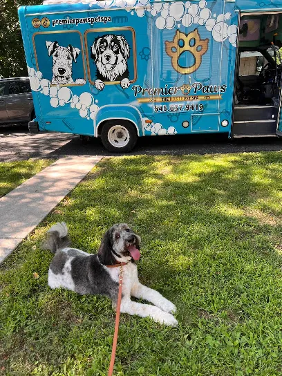 Premier Paws Mobile Pet Spa — photo from their website