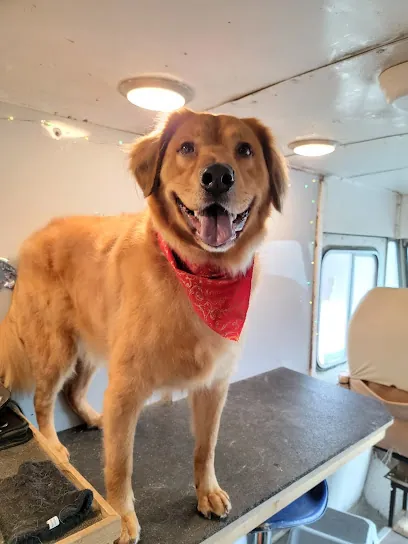 Glory Days Mobile Dog Bathing — photo from their website