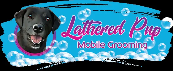 Lathered Pup Mobile Grooming — photo from their website
