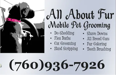 All About Fur Mobile Pet Grooming — photo from their website